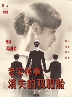 老宅秘事消失的双胞胎