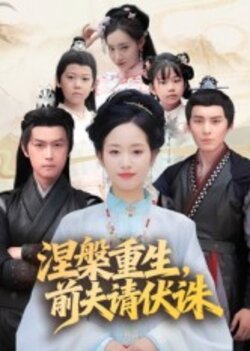 涅槃重生,前夫请伏诛