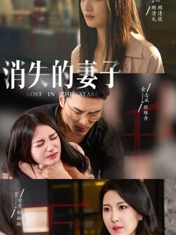 消失的妻子