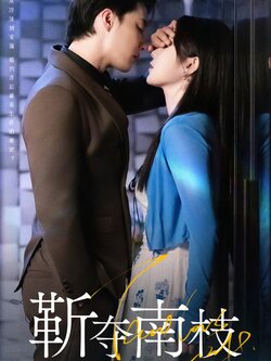 靳夺南枝封面图